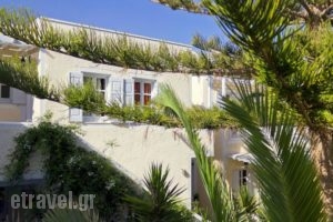 Dolphins Apartments_holidays_in_Apartment_Cyclades Islands_Sandorini_Sandorini Chora