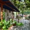 Studios Plaka_best deals_Apartment_Aegean Islands_Thasos_Thasos Chora