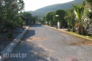 Simos Camping_travel_packages_in_Peloponesse_Lakonia_Elafonisos