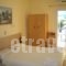 Hercules seafront Studios_best prices_in_Apartment_Ionian Islands_Kefalonia_Assos