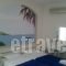 Noe Rooms_best deals_Room_Cyclades Islands_Tinos_Tinos Chora