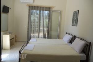 Kalliope Apartments_best deals_Room_Ionian Islands_Lefkada_Lefkada Chora