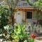 Villa Galini_accommodation_in_Villa_Ionian Islands_Lefkada_Vasiliki