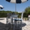 Alisaxni Studios_lowest prices_in_Apartment_Ionian Islands_Zakinthos_Argasi