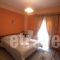 Xenonas Drimos_holidays_in_Apartment_Central Greece_Evritania_Karpenisi