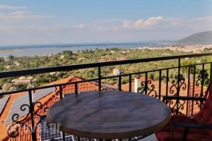 Lefkothea Apartments_best prices_in_Apartment_Ionian Islands_Lefkada_Vasiliki