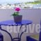 Villa Galini_best deals_Villa_Cyclades Islands_Paros_Naousa