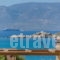 Diamantis studios_lowest prices_in_Apartment_Cyclades Islands_Naxos_Mikri Vigla