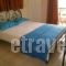 Psarou Studios_best deals_Apartment_Ionian Islands_Zakinthos_Zakinthos Rest Areas