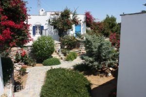 Sun Rock Apartments_accommodation_in_Apartment_Cyclades Islands_Naxos_Agios Prokopios