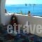 Logaras Apartments_accommodation_in_Apartment_Cyclades Islands_Paros_Piso Livadi