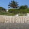 Beachfront Villa Haniotis_best deals_Villa_Macedonia_Halkidiki_Haniotis - Chaniotis