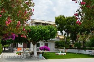 Akrogiali_accommodation_in_Apartment_Central Greece_Evia_Amaranthos