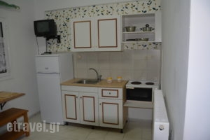 Panorama_holidays_in_Apartment_Peloponesse_Ilia_Skafidia