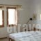 Vasso Afissos Studios_holidays_in_Apartment_Thessaly_Magnesia_Afissos