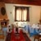 Villa Anthemia_holidays_in_Villa_Macedonia_Imathia_Naousa