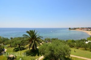 Villa Kalliopi_best deals_Villa_Macedonia_Halkidiki_Poligyros