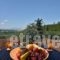 Achillion Villas_best deals_Villa_Ionian Islands_Corfu_Corfu Rest Areas