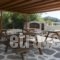 Malamas Apartments_best deals_Apartment_Cyclades Islands_Paros_Paros Chora