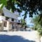 Adonis Studios_best prices_in_Apartment_Ionian Islands_Zakinthos_Alikanas