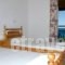 Adonis Studios_holidays_in_Apartment_Ionian Islands_Zakinthos_Alikanas