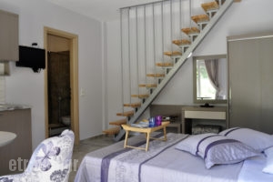 Thalassa Rooms_best deals_Apartment_Aegean Islands_Thasos_Chrysi Ammoudia