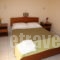 Ammousa Apartments_best deals_Apartment_Ionian Islands_Kefalonia_Lixouri