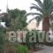 Bay View Apartments_accommodation_in_Apartment_Crete_Lasithi_Makrys Gialos