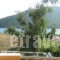 Galini Studios_best deals_Apartment_Macedonia_Halkidiki_Toroni