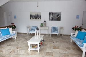 Seagull_lowest prices_in_Apartment_Crete_Chania_Agia Marina