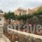 Kavousanos_accommodation_in_Apartment_Crete_Lasithi_Ammoudara