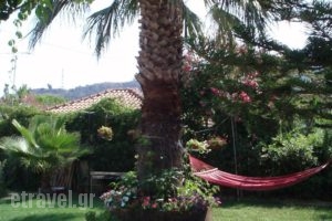 Villa Xenos_best prices_in_Villa_Ionian Islands_Zakinthos_Kalamaki