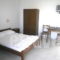 Zoe Studios_lowest prices_in_Apartment_Dodekanessos Islands_Karpathos_Karpathosora