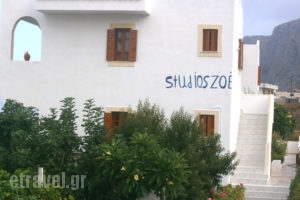 Zoe Studios_best deals_Apartment_Dodekanessos Islands_Karpathos_Karpathosora