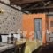 Pikoulianika Apartments_best deals_Apartment_Peloponesse_Lakonia_Mystras