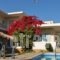 Cormoranos Apartments_accommodation_in_Apartment_Crete_Chania_Kissamos