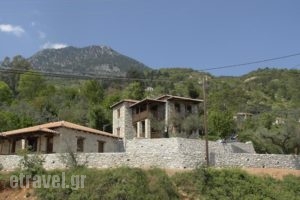 Pikoulianika Apartments_accommodation_in_Apartment_Peloponesse_Lakonia_Mystras