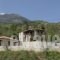 Pikoulianika Apartments_accommodation_in_Apartment_Peloponesse_Lakonia_Mystras