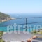 Sea View_holidays_in_Apartment_Sporades Islands_Skopelos_Skopelos Chora