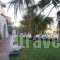 Dia Apartments_best deals_Apartment_Crete_Heraklion_Chersonisos