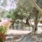 Thendraki Apartments_accommodation_in_Apartment_Aegean Islands_Samos_Marathokambos