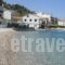 Avlakia Beach Studios & Apartments_travel_packages_in_Aegean Islands_Samos_Samos Chora