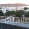 Medusa Apartments_travel_packages_in_Cyclades Islands_Serifos_Livadi