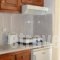 Kiklamino Studios & Apartments_best deals_Apartment_Cyclades Islands_Sandorini_Oia