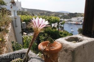 Chriason Studios & Apartments_travel_packages_in_Sporades Islands_Skyros_Skyros Rest Areas