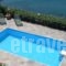 Chrysa Villa_accommodation_in_Villa_Crete_Rethymnon_Plakias