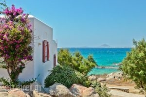 Ydreos Studios & Apartments_travel_packages_in_Cyclades Islands_Naxos_Mikri Vigla