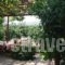 Manganos Apartments_best deals_Apartment_Aegean Islands_Chios_Chios Rest Areas