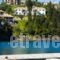 Villa Polyxeni Apartments_accommodation_in_Villa_Ionian Islands_Lefkada_Sivota