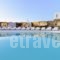 Mykonos Antheon_lowest prices_in_Hotel_Cyclades Islands_Mykonos_Mykonos ora